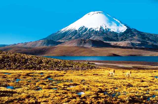 Santiago y maravillas del Desierto de Atacama