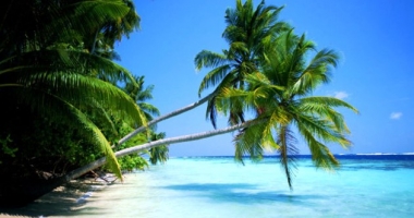 CARIBE Y AMERICA CENTRAL